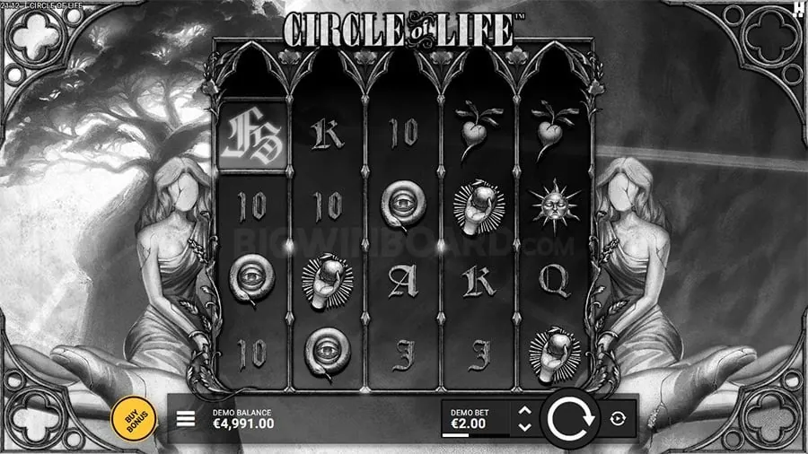winph，com，login Understanding Roulette Odds