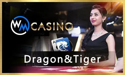 Bingo Bonuses